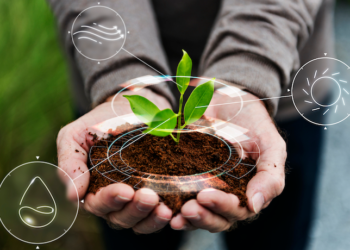 Five ways AI is helping people, businesses and governments to become more sustainable