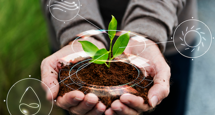 Five ways AI is helping people, businesses and governments to become more sustainable