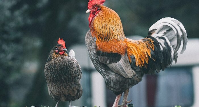 Seven Days on Twitter: #MySouthAfrica, we need to have a word