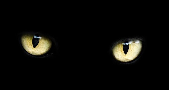 Maximising ad performance during load shedding