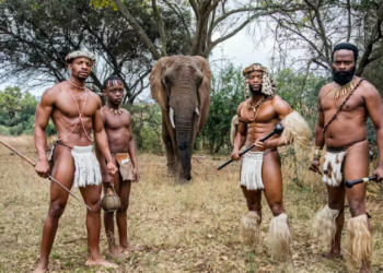Shaka Zulu Shalka Ilembe