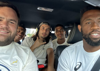 Case study: Of green mambas and Springboks
