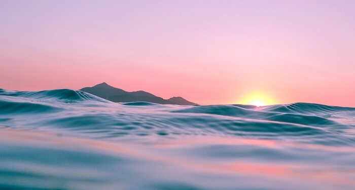 Women making waves