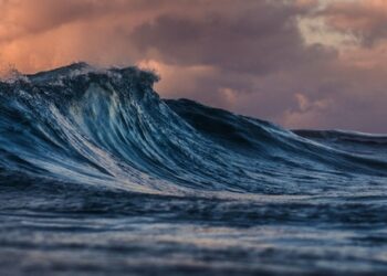 Seven Days on X: #Hijacked and high seas in South Africa