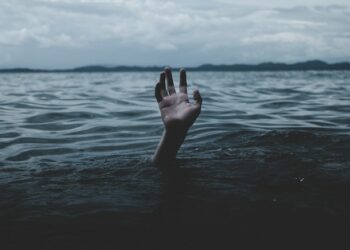 Seven days on X: a resilient South Africa treads water