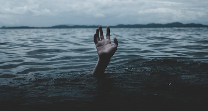 Seven days on X: a resilient South Africa treads water