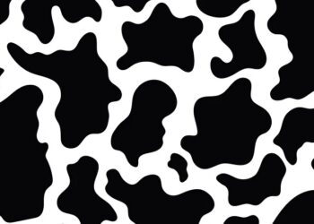 Seven Days on X: A woman and her cow print handbag