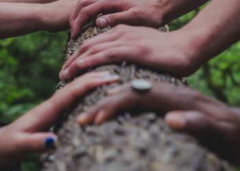 Redefining collaboration in advertising