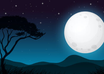 Seven Days on X: #DearHelenZille