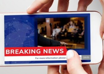 Audiences return to online publisher platforms