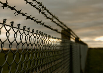 Seven Days on Social Media: #MapisaResigns, wigs big and small