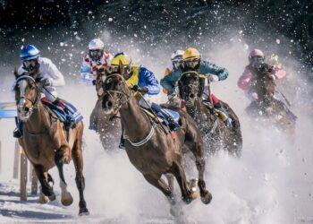 Exploring high stakes: Gambling trends in South Africa