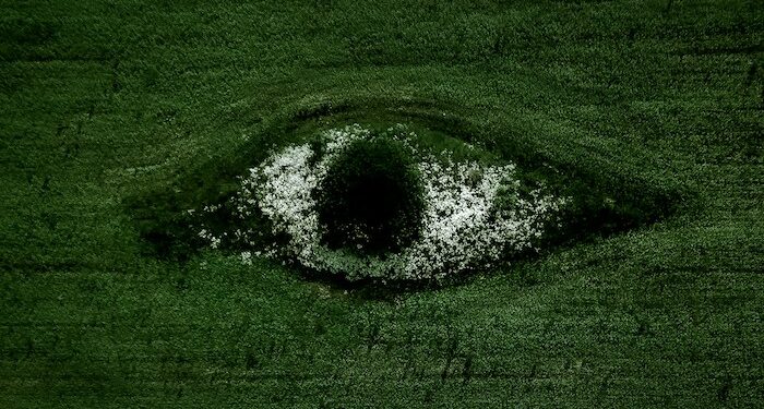 Going green, digitally