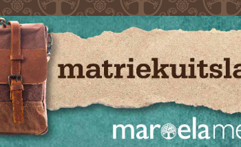 An unlikely website becomes a hero on matric results night