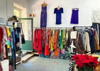 Consumer snapshot: Thrifting and second-hand shopping
