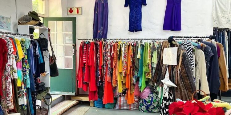 Consumer snapshot: Thrifting and second-hand shopping