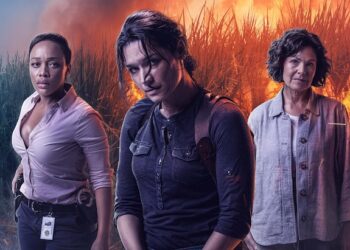 Video’s ongoing evolution