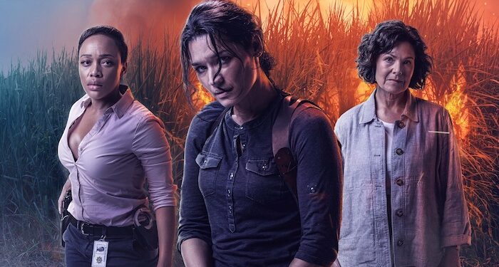 Video’s ongoing evolution