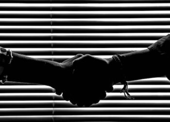 Navigating advertising’s trust fault lines