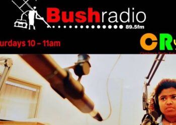 Back where she belongs