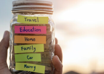 Saving and investing choices of the South African consumer class