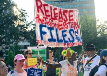 Seven Days on Social Media: South Africa and the Epstein Files