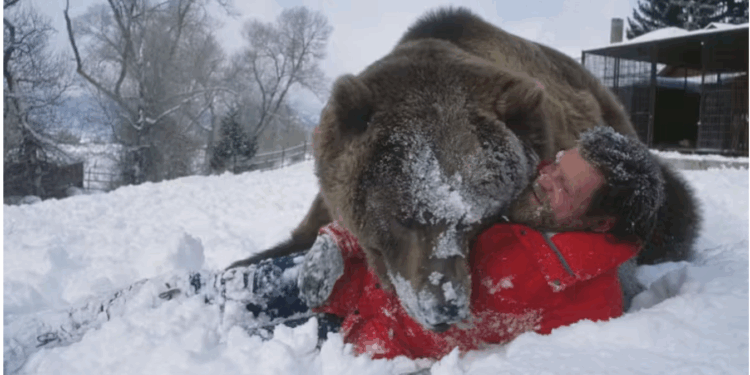 Do animals have a future on Hollywood sets?