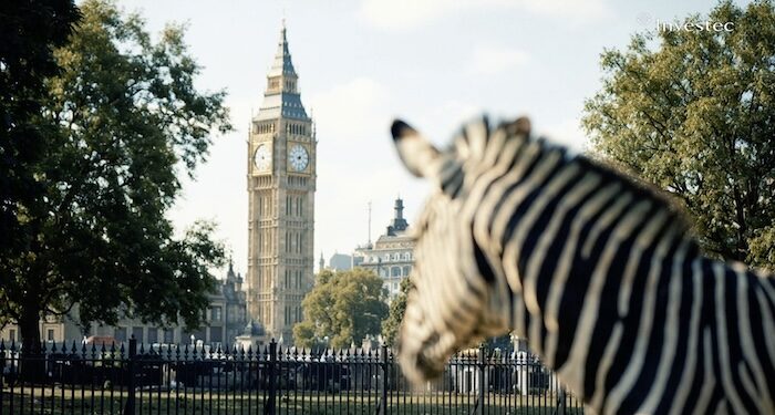 The Investec zebra’s journey from South Africa to the world