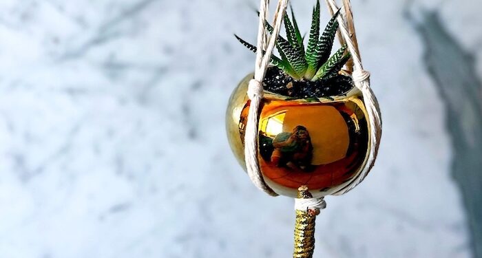 Killjoy culture is costing South Africa more than we think