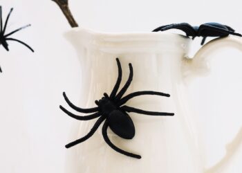 Legacy ad industry: Consolidation or ‘spiders in a jar’?