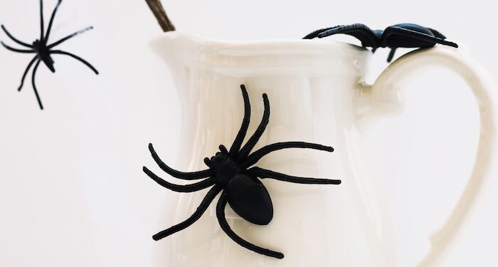 Legacy ad industry: Consolidation or ‘spiders in a jar’?