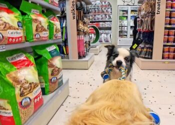 Why creative risk-taking is essential for advertising success