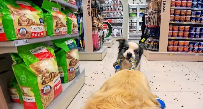 Why creative risk-taking is essential for advertising success