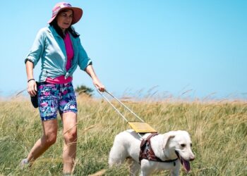 Paws on the Path: How a community-powered campaign raised R500 000 for SA Guide-Dogs